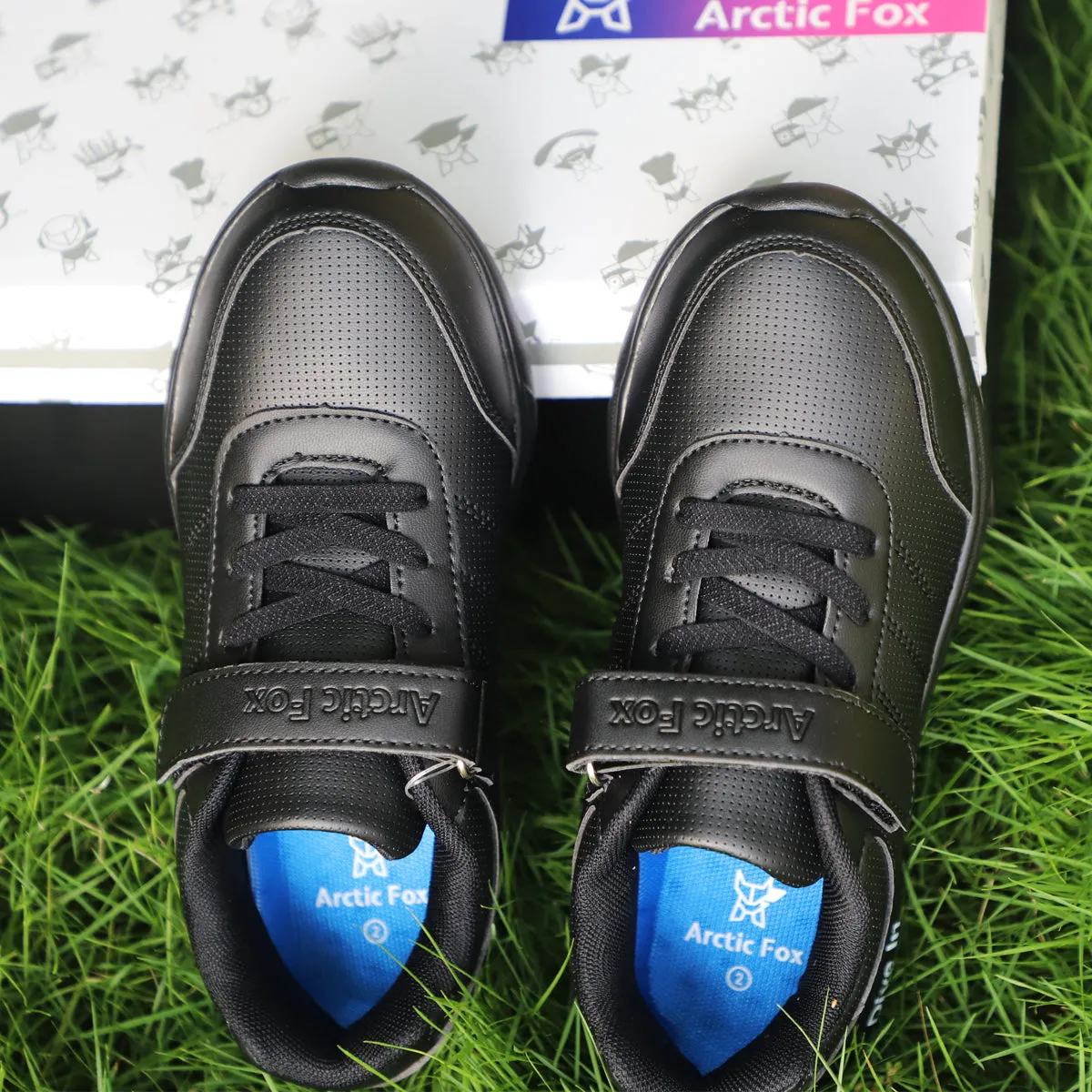 Arctic Fox Black School Shoes